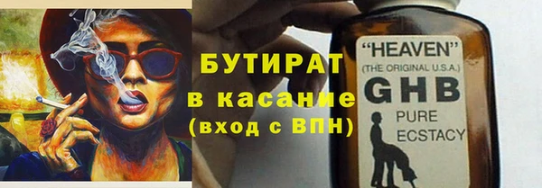 индика Козельск