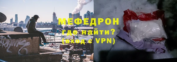 индика Козельск