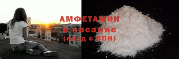 индика Козельск