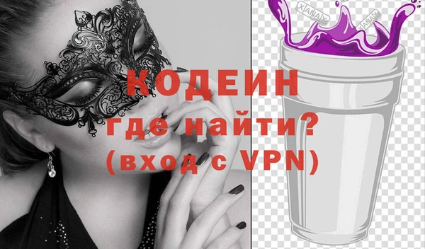 индика Козельск